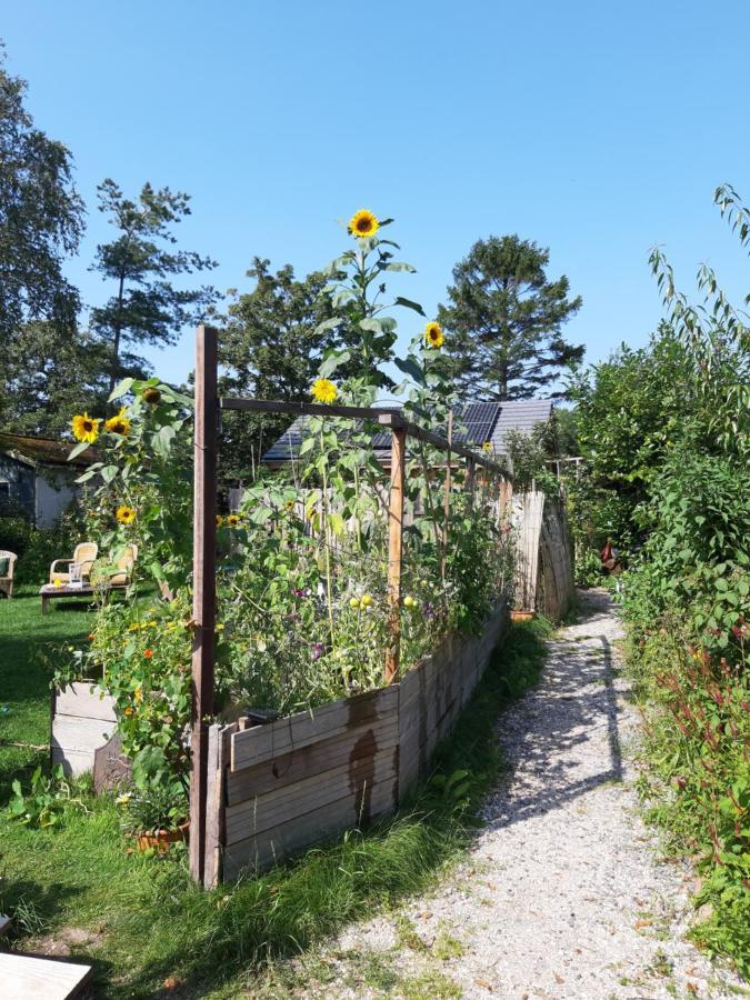 Ecolodge De Parel Schoorl Exteriör bild