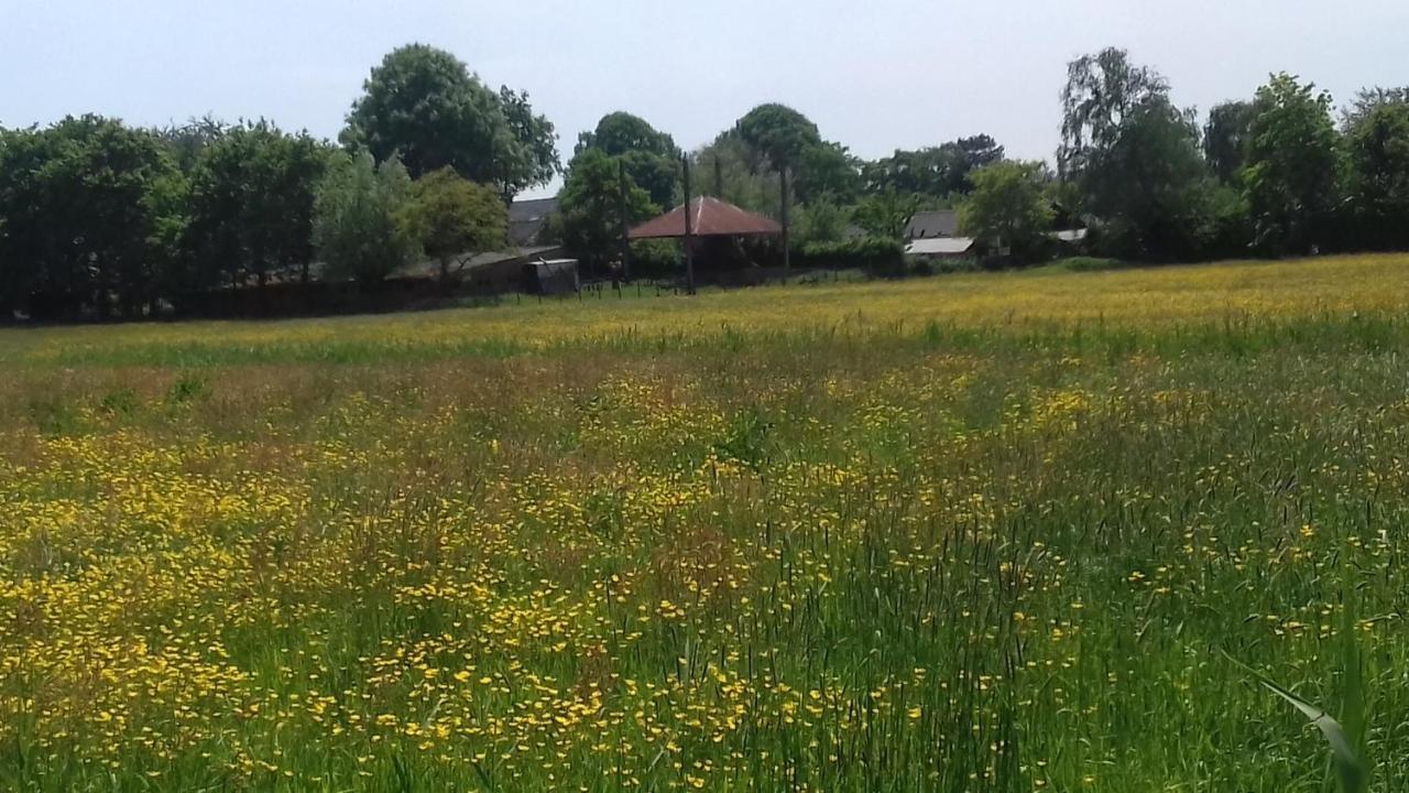 Ecolodge De Parel Schoorl Exteriör bild