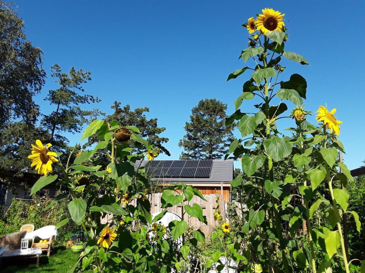 Ecolodge De Parel Schoorl Exteriör bild